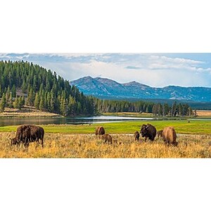 [Montana] Yellowstone Valley Lodge 2-Night Stay In A 2-BR Deluxe Cabin For Up To 6 Ppl $499 Travel Through October 28, 2023