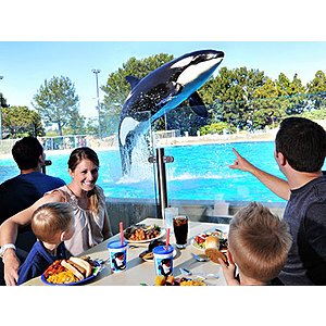 SeaWorld Orlando Black Friday Up To 60% Off Admission Plus 50% Off Upgrades Bonus Free Meal*