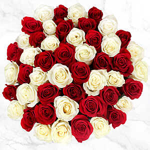 Costco 50 Stem Roses $49.99 (Delivery availability of RED/WHITE 1/31-2/1 overlaps with Pre-Order Valentines Day rose time period priced at $59.99)