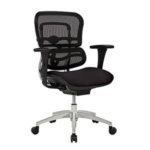 Workpro 12000 ergonomic mesh chair at office depot $299