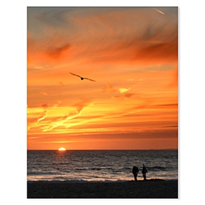 CVS Custom Photo Repositional Posters 85% Off: 16" x 20" $4.80, 24" x 36" $7.20, 12" x 18" $2.70, More + Free Pickup