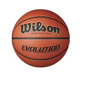 Google Express App: 29.5" Wilson Official Evolution Basketball  $38.40 + Free Shipping