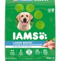 IAMS Dry Dog Food: 30-lb Minichunks Adult Lamb & Rice 2 for $37.20 & More w/ Autoship + Free S&H