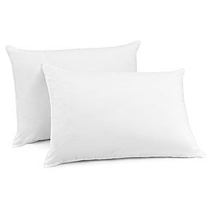 Mainstays 100% Microfiber Pillow Twin Pack in 20" x 26" $5.6