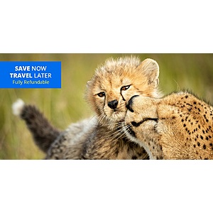 [Tanzania] Siringit Serengeti & TAASA Lodge 7-Nights All Inclusive Safari Adventure With Airport/Ground Transfers & More $5999