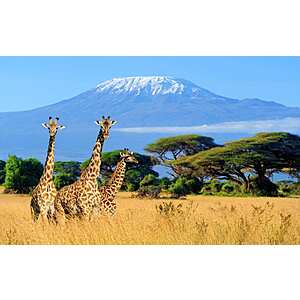 Washington DC to Kilimanjaro Tanzania East Africa $911 RT Airfares on Qatar Airways Main Cabin (Flexible Travel February - May 2024)