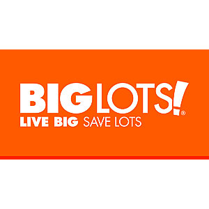 Big Lots New Years 20% Off Coupon Online or In Store