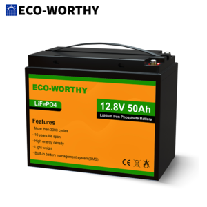 Eco-Worthy LiFePO4 Batteries: 12V 30Ah Battery $60.30, 12V 50Ah Battery $96 & More + Free S/H