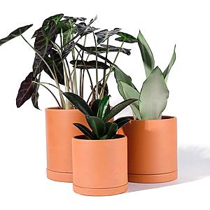 3 PC 6 Inch & 5 Inch & 4 Inch POTEY Terracotta Planter Pots $22.43+ Free Shipping w/ Prime
