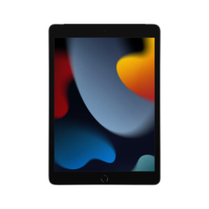 10.2" iPad WiFi Tablet (2021 Model, Silver or Gray): 64GB $299, 256GB $399 + Free Shipping