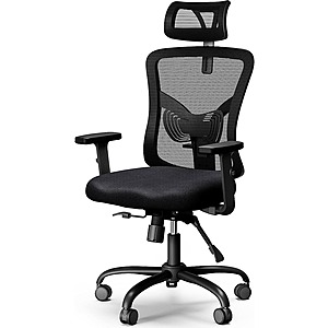 NOBLEWELL Office Desk Chair w/ 2'' Adjustable Lumbar Support $74 + Free Shipping