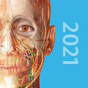 Human Anatomy Atlas 2021: Complete 3D Human Body (Android App) $1 & More