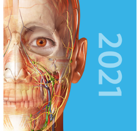 Human Anatomy Atlas 2021: Complete 3D Human Body (iOS or Android App) $1