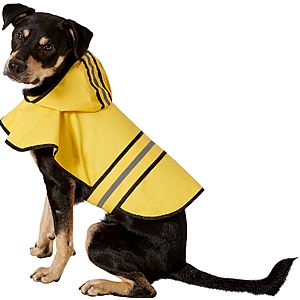 Chewy.com: Up to 60% Off Pet Apparel and Accessories