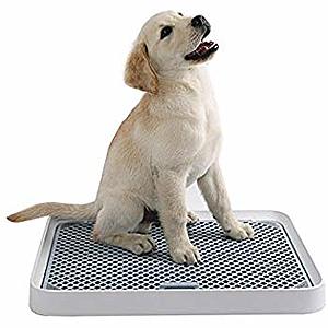 PETKIT Pet Indoor Dog Training Toilet $34.99 + FSSS