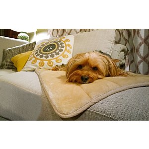 Rakuten - FURHAVEN PET DOG BED | QUILTED FAUX FUR THROW PET BED FOR DOGS AND CATS - AVAILABLE IN MULTIPLE COLORS - After coupon $18.99