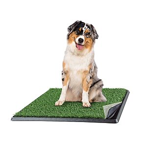 Artificial Grass Puppy Pee Pad for Dogs and Small Pets - 20x25 Reusable 4-Layer Training Potty Pad with Tray [Subscribe & Save] [YMMV] $12.99