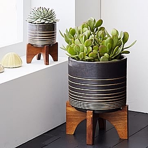 West Elm Large Mid-Century Turned Wood Tabletop Planters - Black & Gold, $15 (normally $50)