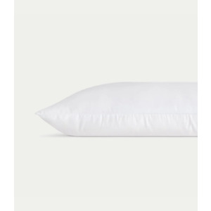 Silk pillow from cozyearth $179.40