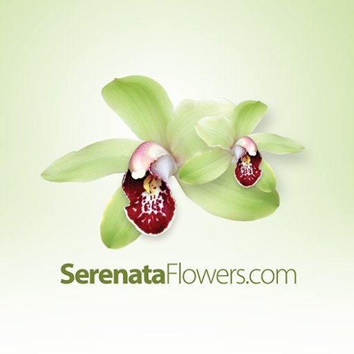 Serenata Flowers_logo