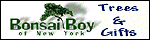 Bonsai Boy of New York_logo