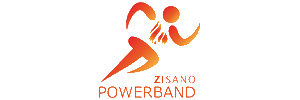 ZISANOPOWER AT & DE_logo