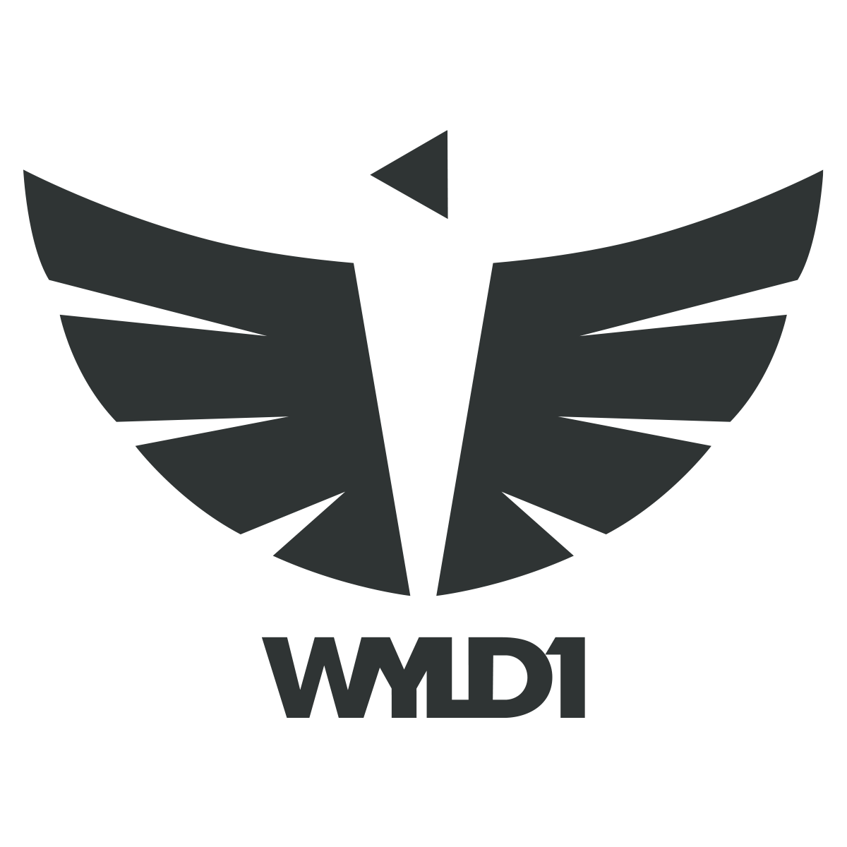 WYLD1 (US)_logo